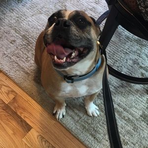 Meet your Posher, Julie